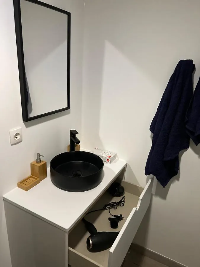 Charmant Studio Hypercentre Face Au Canal Du Midi Toulouse Daire